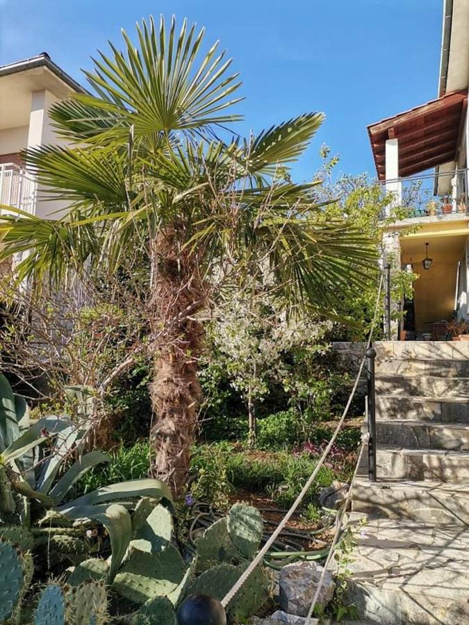 Guest House Sunce Novi Vinodolski Exterior foto